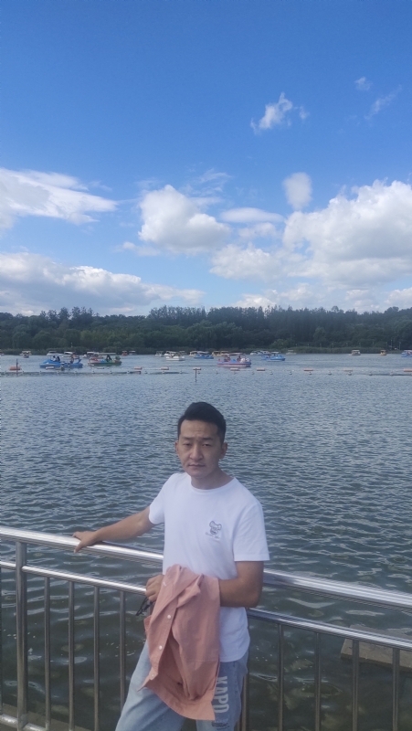 脱了壳的龟的第一张照片--长春相亲服务中心